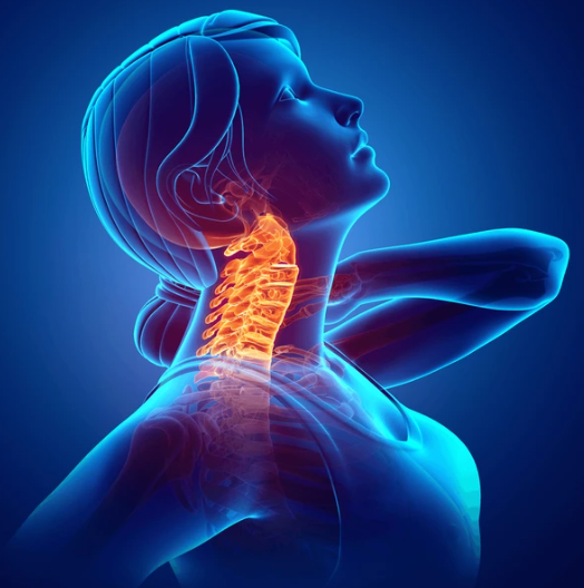 Neck