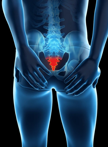 Tailbone