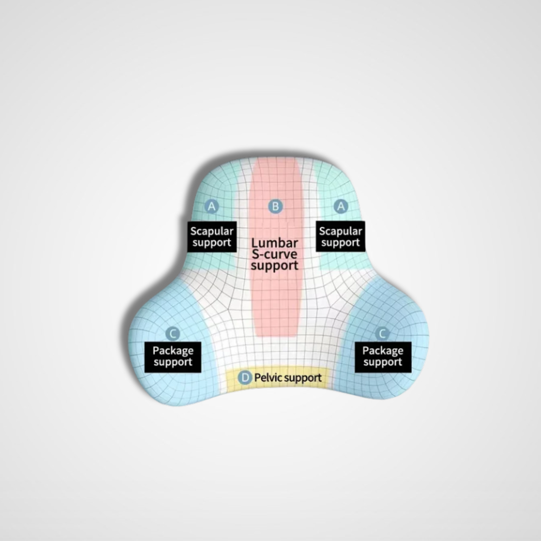 Orthopedic Back Cushion
